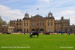 Badminton Horse Trials, Gloucestershire 2022