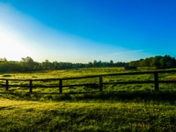 The Paddocks Wallpaper