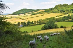 Looking North down the valley from Goat Lane. Wallpaper