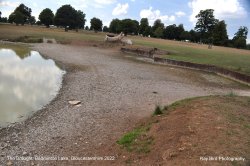 The Drought, Badminton Lake, Gloucestershire 2022 Wallpaper