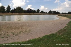 The Drought, Badminton Lake, Gloucestershire 2022 Wallpaper