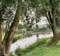 Kinlsey Trout farm Wallpaper