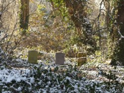 Ladywell Cemetery in The Snow Wallpaper
