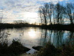 Ferrymoor Flash Nature Reserve Wallpaper