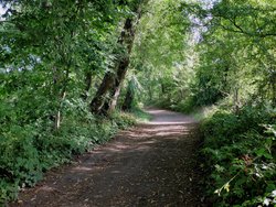 Path alongside River Dearne Wallpaper