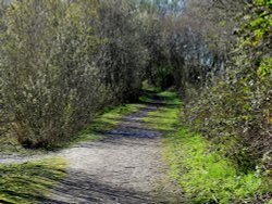 Ferrymoor Flash Nature Reserve Wallpaper