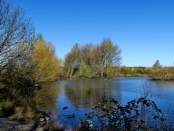 Ferrymoor Flash Nature Reserve Wallpaper