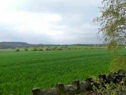Farmland at Cudworth South Yorkshire Wallpaper