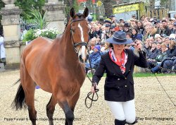 Badminton Horse Trials, Gloucestershire 2023 Wallpaper