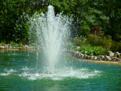 The fountain Wallpaper