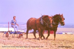 Great Dorset Steam Fair, Tarrant Hinton 1990 Wallpaper
