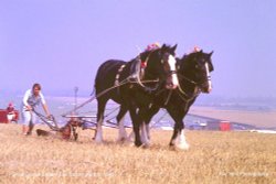 Great Dorset Steam Fair, Tarrant Hinton 1990 Wallpaper