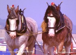 Great Dorset Steam Fair, Tarrant Hinton 1989 Wallpaper