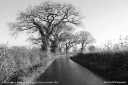 Littleton Drew Lane, Acton Turville, Gloucestershire 2014 Wallpaper