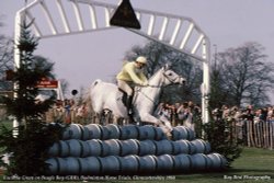 Badminton Horse Trials, Gloucestershire Wallpaper