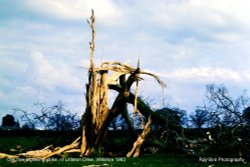 Lightning Damage, Littleton Drew, Wiltshire 1983 Wallpaper