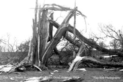 Lightning Damage, Littleton Drew, Wiltshire 1983 Wallpaper