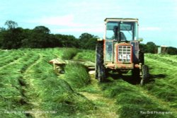 Grass Mowing, nr Alderton, Wiltshire 1983 Wallpaper
