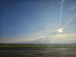 Newmaket gallops Wallpaper