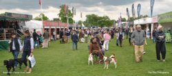 Badminton Horse Trials 2026 Wallpaper