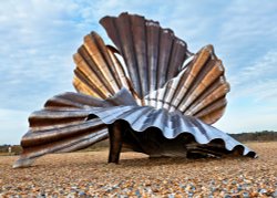 Scallop on Aldeburgh Beach, Suffolk Wallpaper
