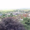 A picture of Rye