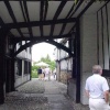 A picture of Rye