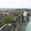 A picture of Rye