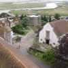 A picture of Rye
