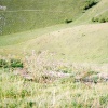 A picture of Barton Le Clay