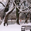 A picture of Bedford