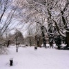A picture of Bedford