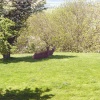 A picture of Broadway Tower and Animal Park