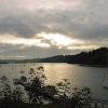 Galmpton Creek, Near Brixham, Devon