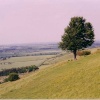 Pegsden Hills on the Herfordshire - Bedfordshire border