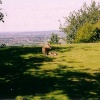 A picture of Whipsnade Wild Animal Park
