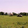 A picture of Whipsnade Wild Animal Park