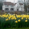 Greyhound Hotel, Carshalton, Surrey