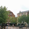 A picture of Rugby