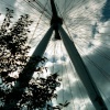 London Eye