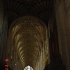 Winchester Cathedral Ceiling