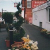 scene of Village