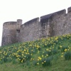 York City Walls