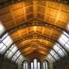 The Natural History Museum