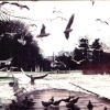 One of Southampton's many Parks