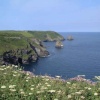 View from Forrabury Stiches towards Tintagel