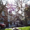 Dinham, Ludlow