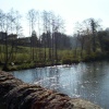 The River Teme at Ludlow