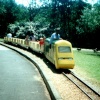 Fun for the Children at Poole Park