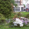 This one includes the attractive flowers of Palmerston Park while taking in the busy street scene.